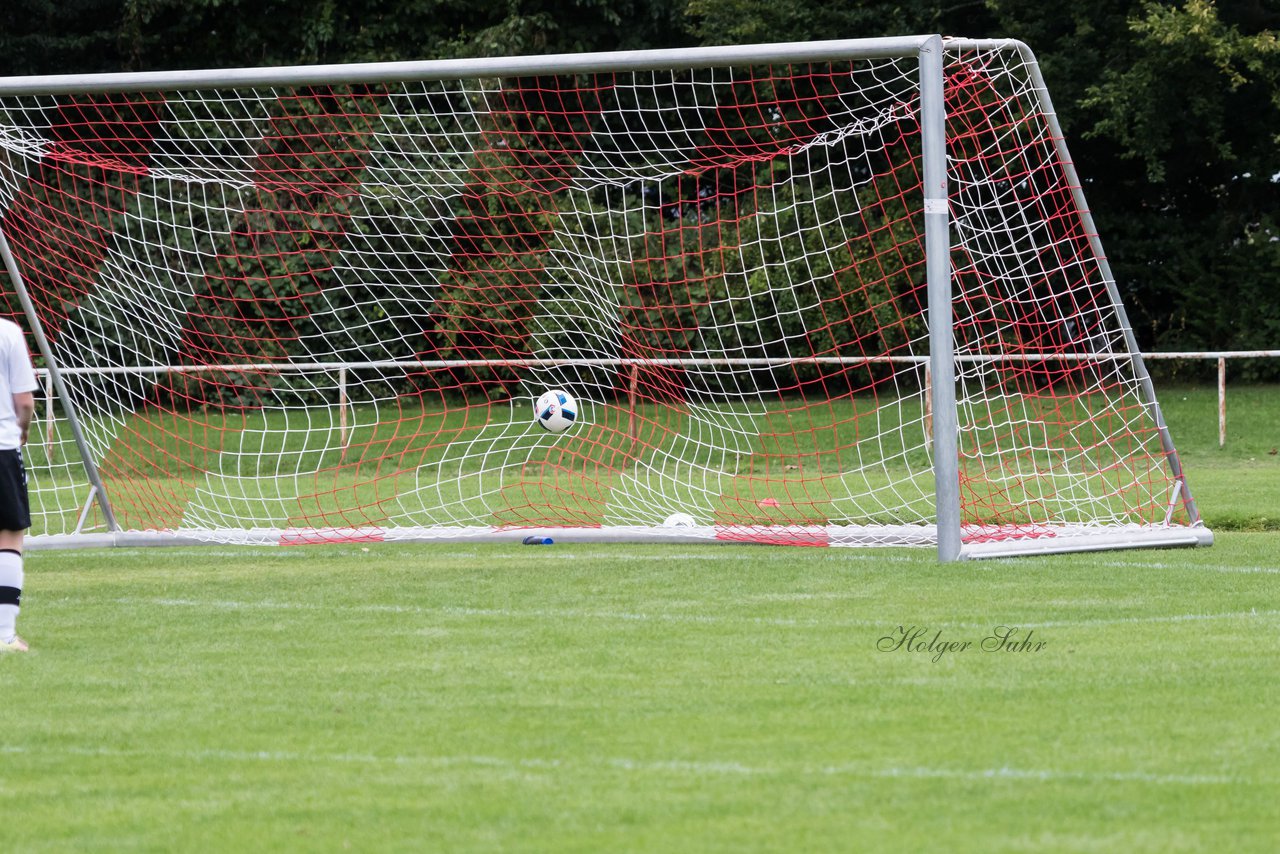 Bild 397 - Frauen Kieler MTV - SV Henstedt Ulzburg 2 : Ergebnis: 2:6